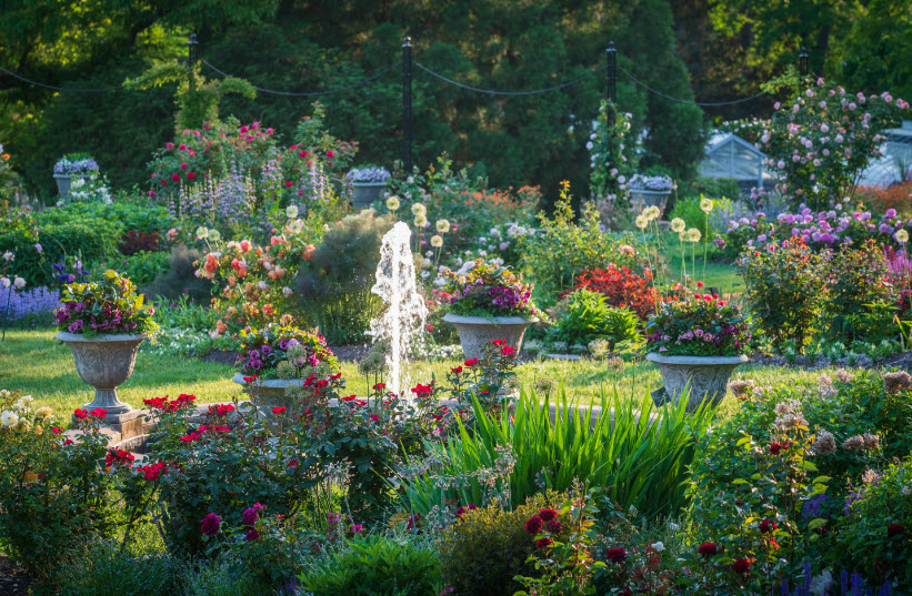 Morrison Arboretum, United States